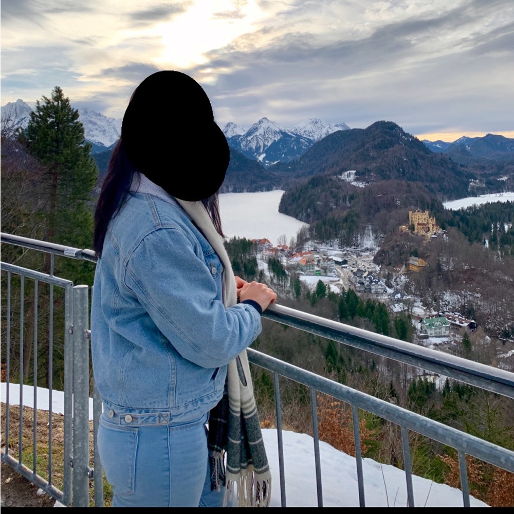 brandy melville sherpa lined denim jacket